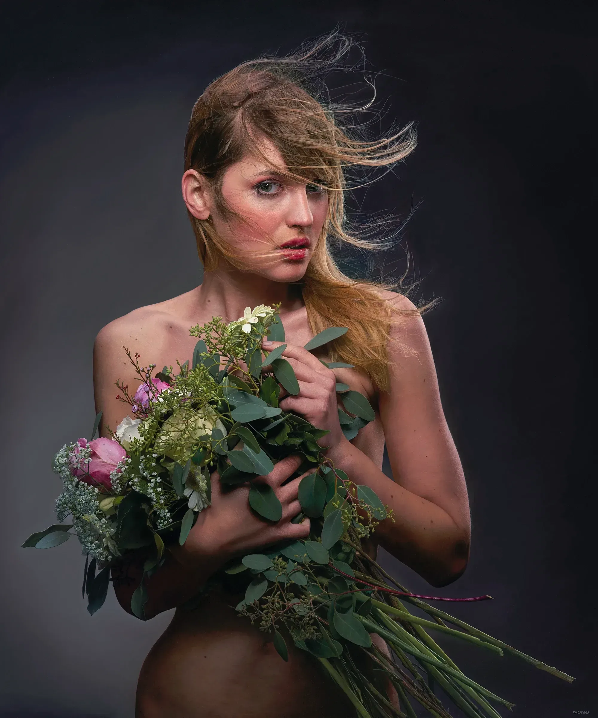 The Gift image